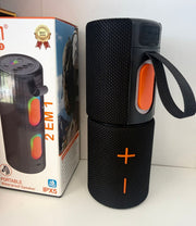 2 in 1 bt radio speaker