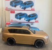 Portable car speaker P368